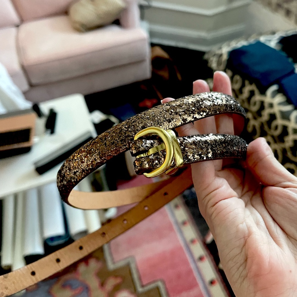 LIGHTLY USED: Small J Crew Bronze Sparkle Belt